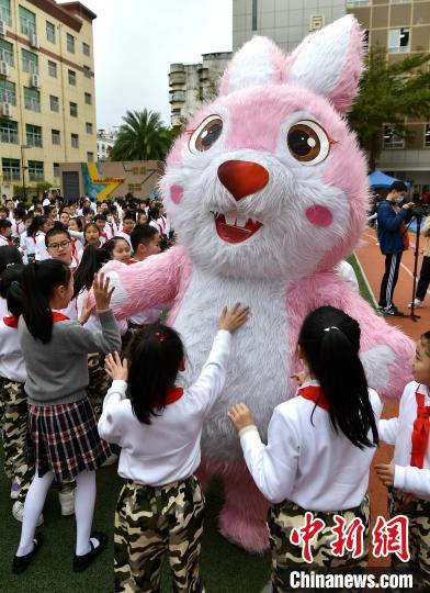 图为2月8日，福州市鼓楼第二实验小学大拜年活动上，兔子人偶受到学生们的欢迎。　张斌 摄